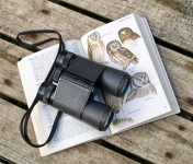 Bird Watching Kits