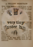 Words under magnification