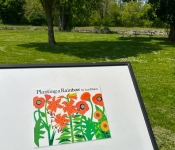 Storywalk - City of Lockport