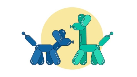 Balloon Twist