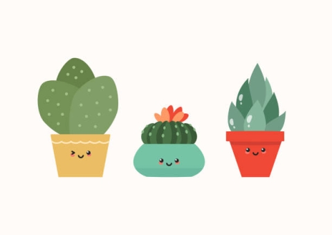 Succulents