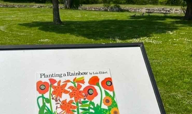 Home | Lockport Public Library